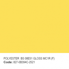 POLYESTER  BS 08E51 GLOSS MC1R (F)